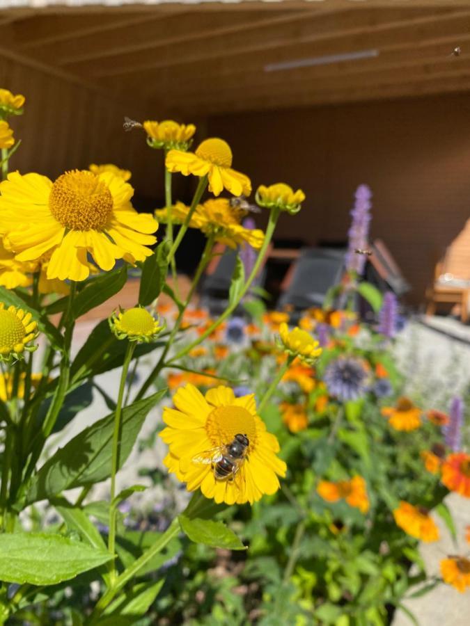 Ferienwohnung Zollhaus St. Vith Buitenkant foto